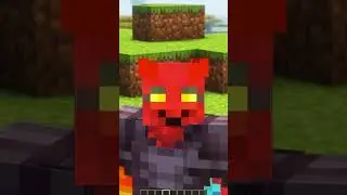 Looking for a Minecraft Server?