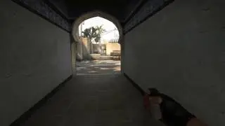 CS: GO [Smoke kill]