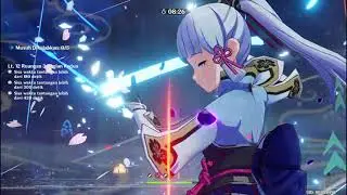 How to easy clear 2.3  fullstar 12-3 with Raiden National Team and Ayaka Permafreeze(no misplitter)