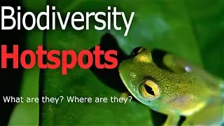 What are Biodiversity hotspots?