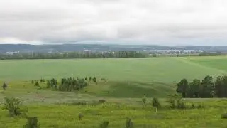 Русское поле у меня под окном .