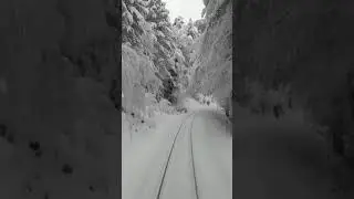 Train Travels Through Winter Wonderland in Corsica, France