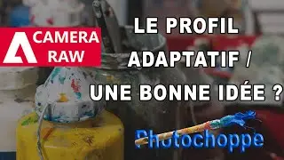 le profil adaptatif : une bonne idée ?