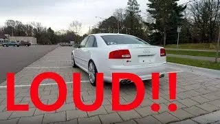 My Audi S8 Sounds Like a LAMBORGHINI!!!