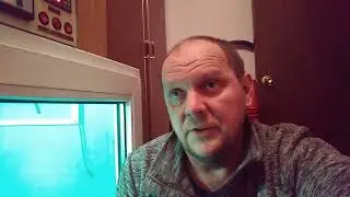 Итоги инкубации.