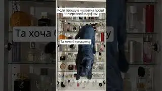 Етапи формування покупки 🛒