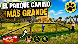 ¿Dónde está el parque exclusivo para mascotas? 