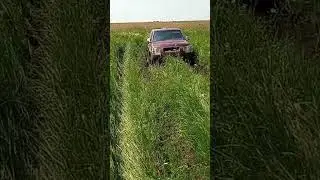 оффроад не удался))) #automobile #лето #сельскоехозяйство