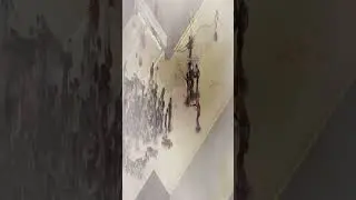 Consejo ✅🧟 LA MEJOR ARMA CONTRA HORDAS DE ZOMBIES en Project Zomboid