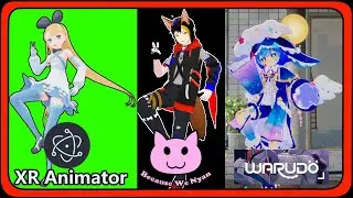 Full body tracking in other VTuber software