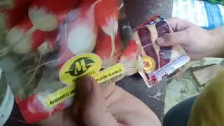 COMO SEMBRAR PIMIENTO, TOMATE, CALABACIN, PEPINO, BERENJENA, RAPIDO SENCILLO Y FACIL DE HACER