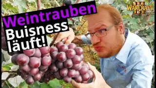 FMF #4: Mit Weintrauben zum erfolgreichen Geschäftsmann | Random Farm TD Wc3