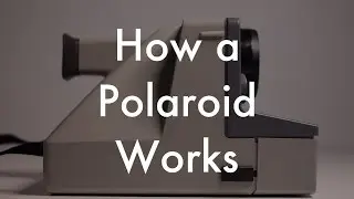 How Does a Polaroid Work?