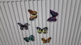Fluturi decorativi 3D cu magnet
