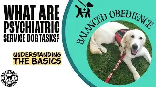 The secret to why psychiatric service dogs are invaluable! What are psychiatric service dogs tasks?