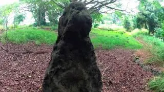 KIA'I POHAKU