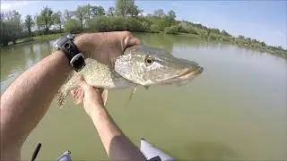 Pêche du brochet en float-tube (au S Trout et Whopper Plopper)