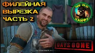 Филейная вырезка веселых моментов прохождения DaysGone часть 2. Шутки, приколы, юмор. #ЧёПоКайфу.
