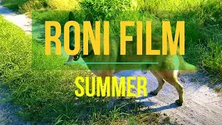 RONI FILM. SUMMER