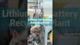 Recycling Lithium Ion Batteries - New Business Opportunity 