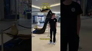 Тонкий намёк #юмор #жиза