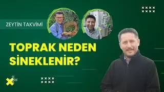 SÜS BİTKİLERİ | ZEYTİN TAKVİMİ