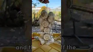 3 Ways To Store Garlic🧄 