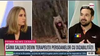 Ziua Mondială a Animalelor - încotro ne îndreptăm?