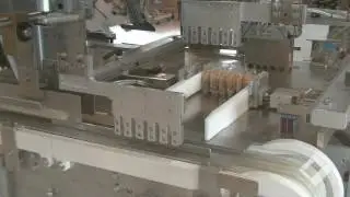 ➤ Case packaging machine type VP501-2 | ➤ with paddle chain | ➤ packing bakery products