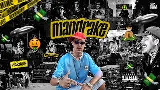 SALVADOR O MANDRAKE DA RIMA