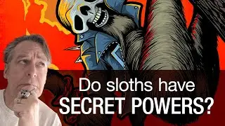 Do sloths have secret powers?