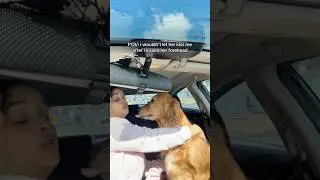 This Dog Faced the Saddest Kiss Rejection