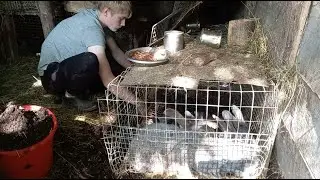 КАК Я ТОЛЬКО СПРАВЛЯЮСЬ С НИМИ ??? ОДНО ПРИКЛЮЧЕНИЕ ЗА ДРУГИМ...
