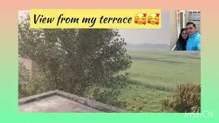 View from my village home terrace | #shorts #YouTube #village #villagelife #villagelifestyle