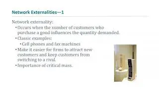 Mateer Coppock Ch 13, Pt 8- Network externalities