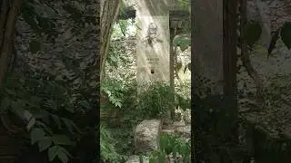 Заброшенная дача Маслова А.Н. #море #заброшка #новомихайловский