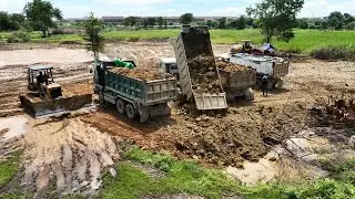 Rural Field Swamp Landfill Processing Bulldozer KOMATSU & Dump Truck Spreading Unloading Stone Dirt