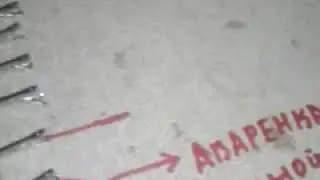 Untitled video