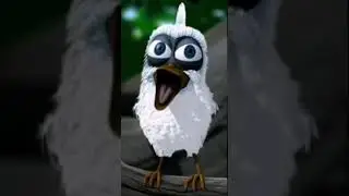 Белая птица кричит