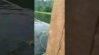 Mancing di danau cirata ikannya gede gede