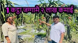 १ कट्ठा जग्गामै २ लाख कमाई 😍