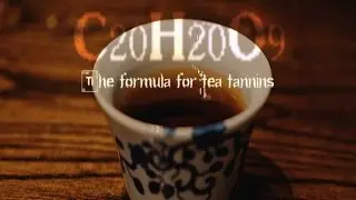 С20Н20О9 The formula for tea tannins