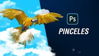 Pinceles