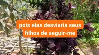 A Nações Idólatras Serão Expulsas, Deuteronômio 7:1-11