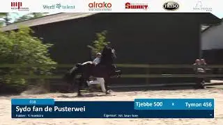 Locatiekeuring | 11 Mei 2024 | Hengstenhouderij fam. Bosma