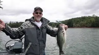 Berkley Wake Bull - Scott Suggs