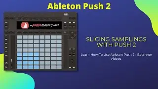 Ableton Push 2 Slicing Samples