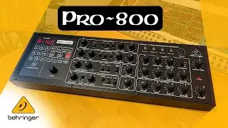 Introducing Behringer PRO-800