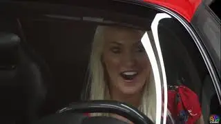 SUPERCAR BLONDIE - Ferrari Collector_David Lee