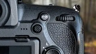 Camera Settings Wildlife Photography - Don't use Aperture Priority!